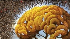 心理知识分享