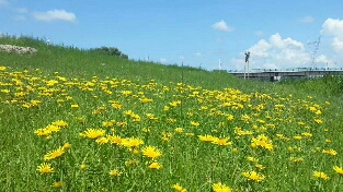 《负变正不难》  作者:青青