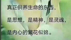 有关《心理黑洞(个体认知发展受限)是人类个体一切心理产生心理问题的源泉》引出的观点争议再论