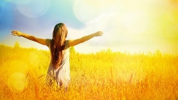 日常生活的心理分析→日常生活中争吵行为的诱因分析