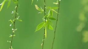 心理学效应一一浴缸法则。