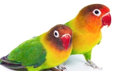 无论什么年龄的女人，再爱一个人也要牢记这5件事情