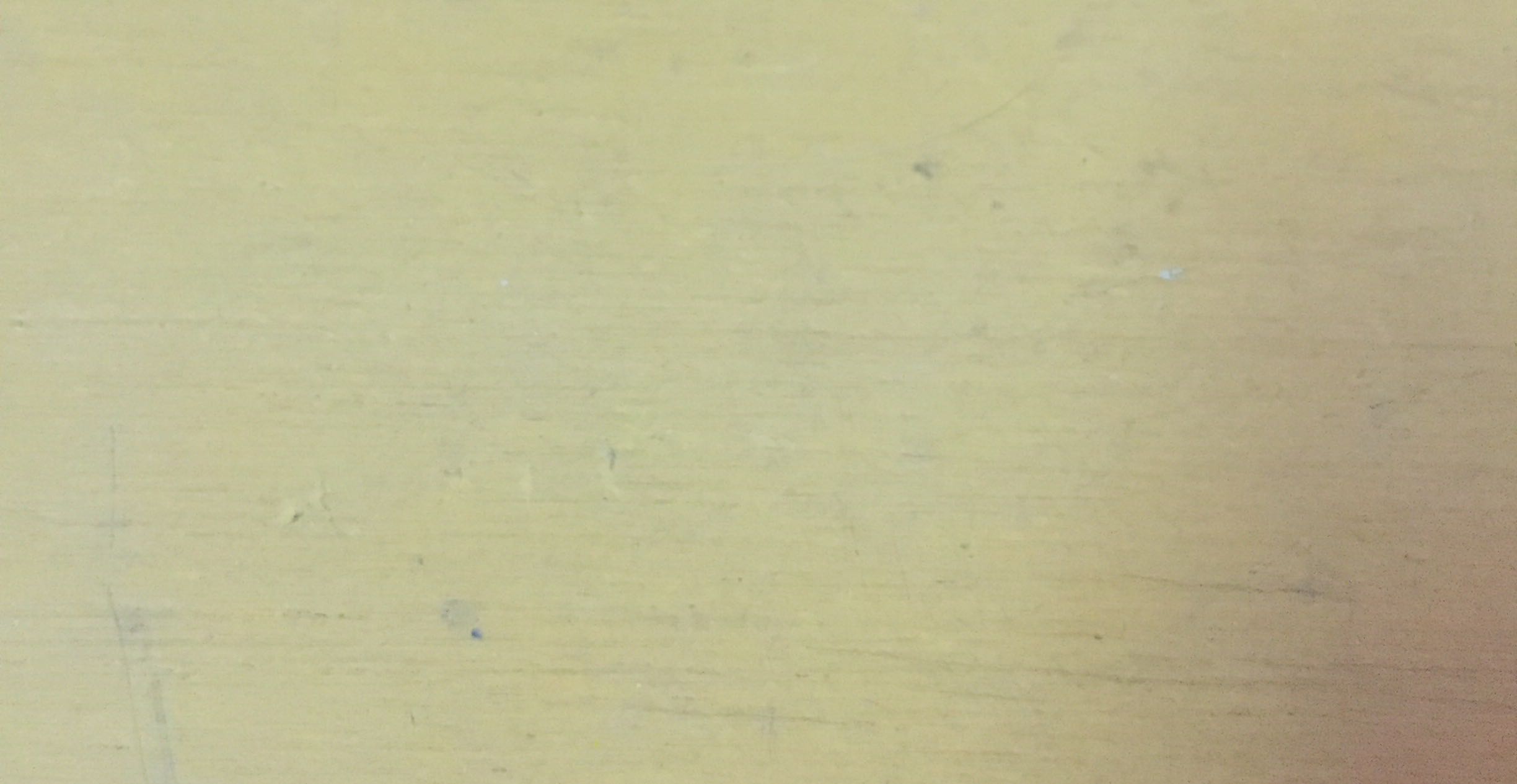 天蝎女的爱情揭秘