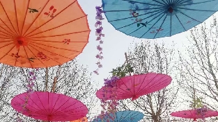 《鼓励孩子，停止说