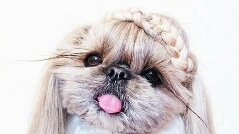   如何最有效地安慰咨询者？