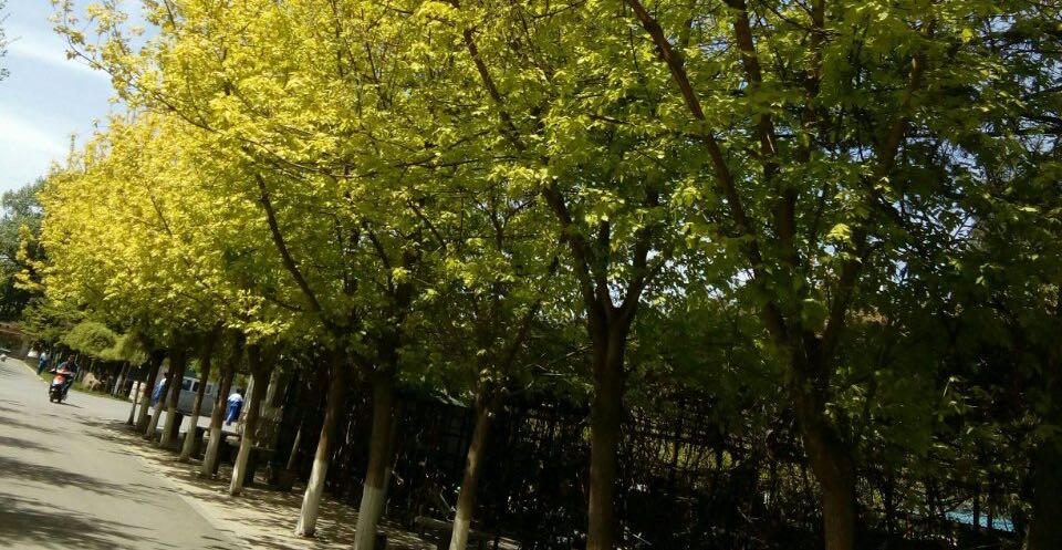 谁都靠不住，自己爱自己