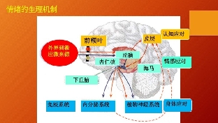 人际关系的重要性