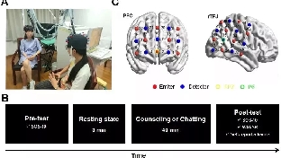 【分享】脑科学实验证明:心理咨询比普通聊天复杂太多。