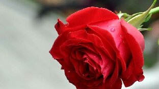 婚姻与恋爱的五点不同