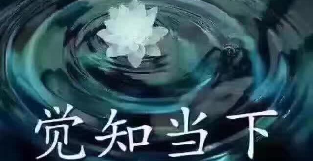 好的婚姻，都是“夸”出来的