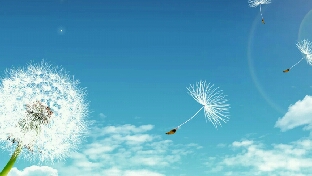 该不该分手