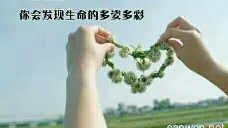 生命的反思与追问