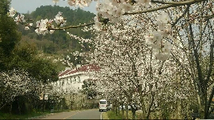温暖
