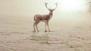 心情抑郁与人际交往。