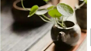 热爱生活才能活的漂亮