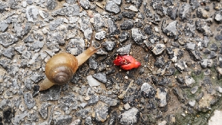 不会倾听带来不小的麻烦
