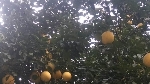 让暴风雨在猛烈一些吧