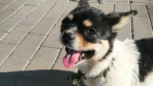 你为什么总是说到原生家庭
