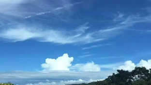 生气太可怕了伤其全身器官