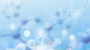 你对生命的态度，正在重塑你的DNA