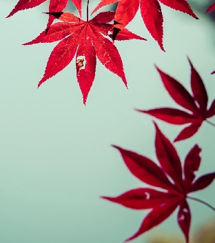 【遇见婚外情】婚姻中的安全感，终究还是要自己给！