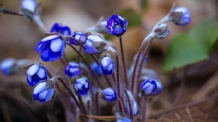 焦虑的成因是什么，如何区分适当焦虑与焦虑症