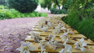 无聊的生命更容易被抑郁和焦躁缠绕