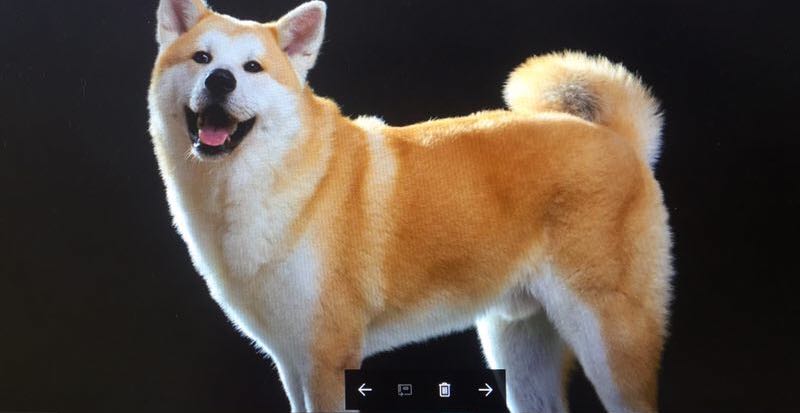 孩子一生中的黄金八年，很多父母后悔太晚看到！