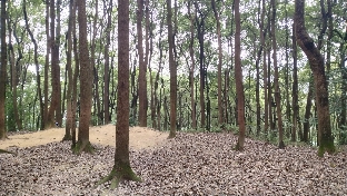 山上是幽静，山下是繁华
