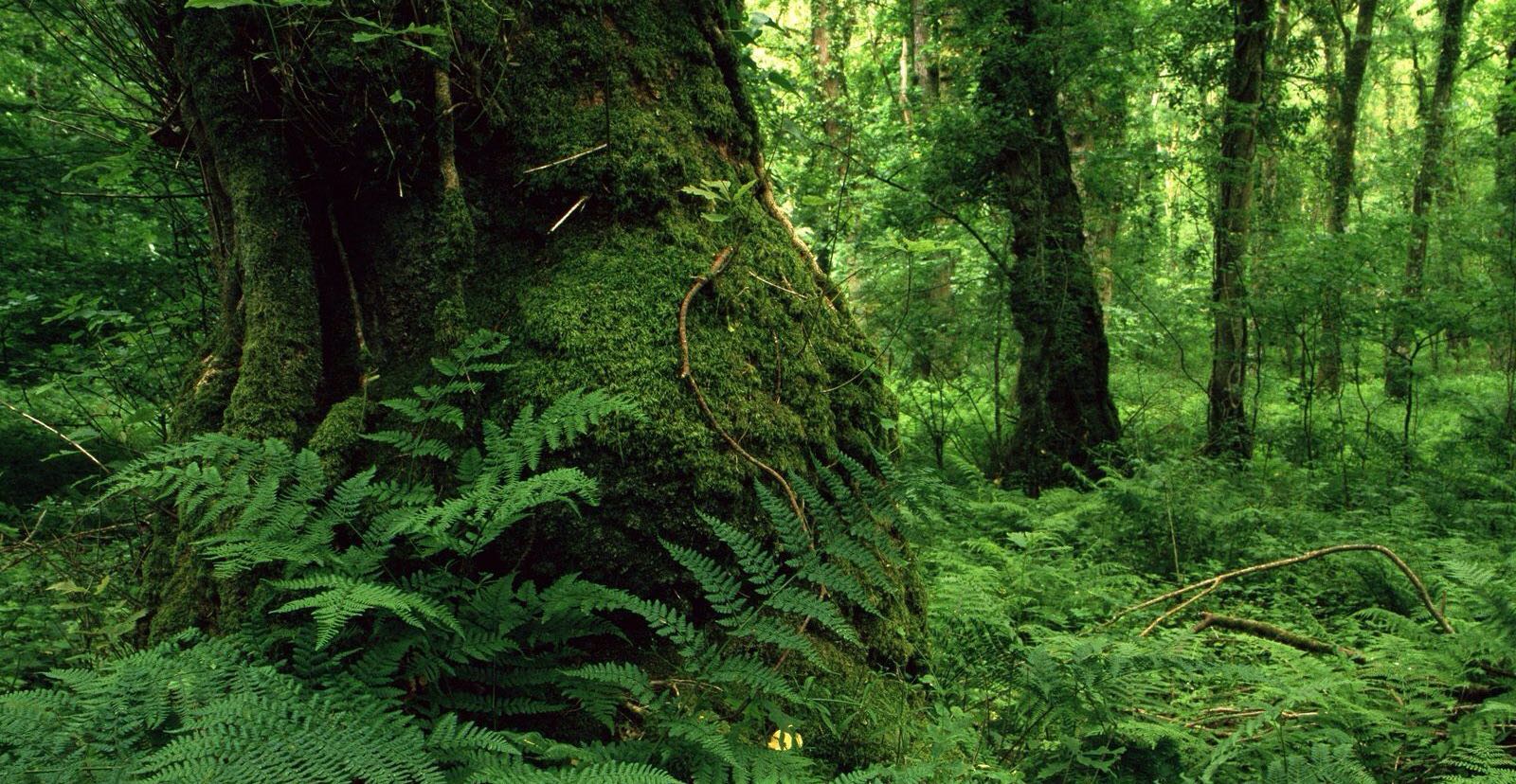 最终我们变成了自己讨厌的人