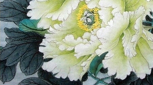 咨询的疑虑？可行不可行？