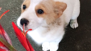 人为什么结婚？