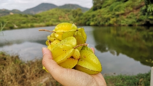 如何管理自我的情绪