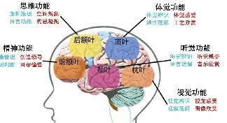 贺岭峰老师案例分析：对自杀年轻化的思考和危机干预