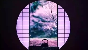 活的挣扎用力、疲惫空虚、孤单焦虑……是身体和情绪在提醒你违背了自己