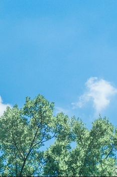 认识自己的财富创造能力