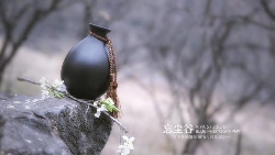清净诀