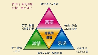 你的爱情处境属于哪一种呢？