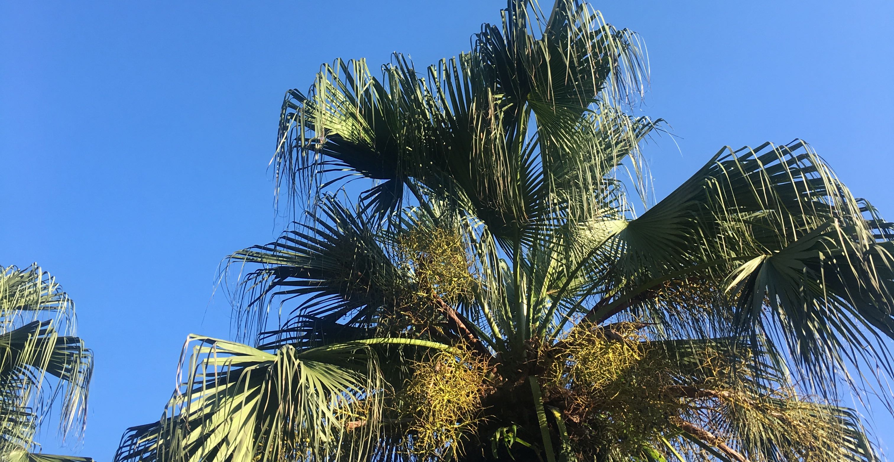 为何有些女性容易抑郁？