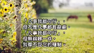 婚前同居的恶果