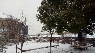 为自己设定一句救命的“主旋律”
