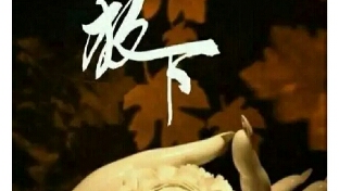 放下，你就赢了