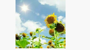 亲子教育的那些心里话