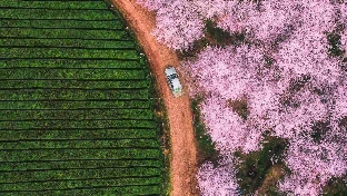 人生最幸福的事是什么？