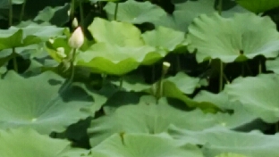 恍惚中领悟心理咨询师的角色