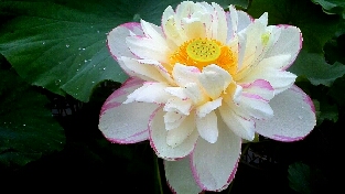 要忘掉过去，我们才能看到我们拥
有的未来啊