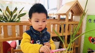 天使or魔鬼。