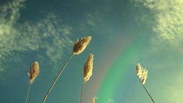 涅槃重生:与痛苦呆在一起