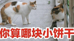 为什么我们总会看别人不顺眼