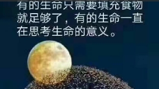 什么是我们的人生价值？